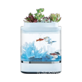 Xiaomi Geometria Mini Lazy Fish Serbatoio Acquari Autopurici